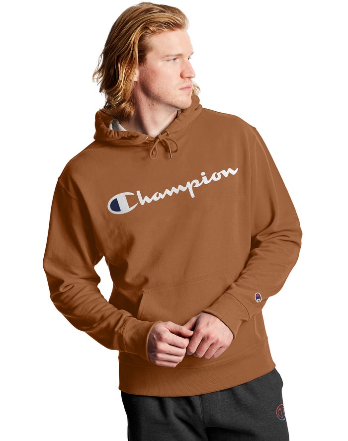 Champion Mens Hoodie NZ - Powerblend Fleece Script Logo Brown ( 3698-HEBTI )